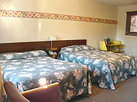The rooms are cozy and have all the comforts of home